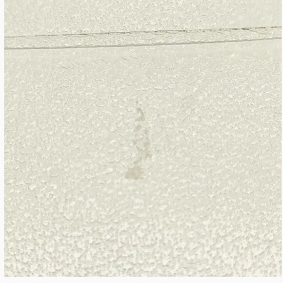 GUCCI Card Case/Coin Case Ivory - Picture 7 of 10